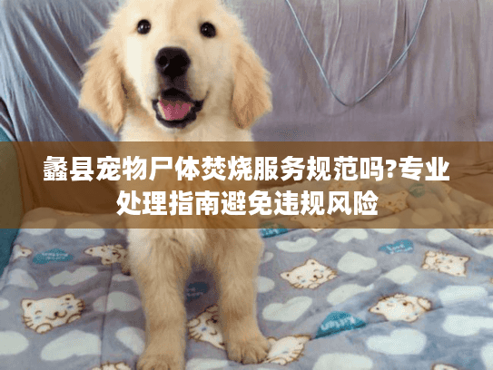 蠡县宠物尸体焚烧服务规范吗?专业处理指南避免违规风险