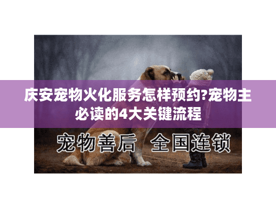 庆安宠物火化服务怎样预约?宠物主必读的4大关键流程 庆安宠物火化服务怎样预约?宠物主必读的4大关键流程