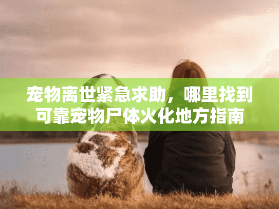 宠物离世紧急求助，哪里找到可靠宠物尸体火化地方指南