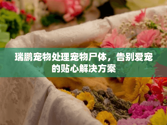 瑞鹏宠物处理宠物尸体，告别爱宠的贴心解决方案