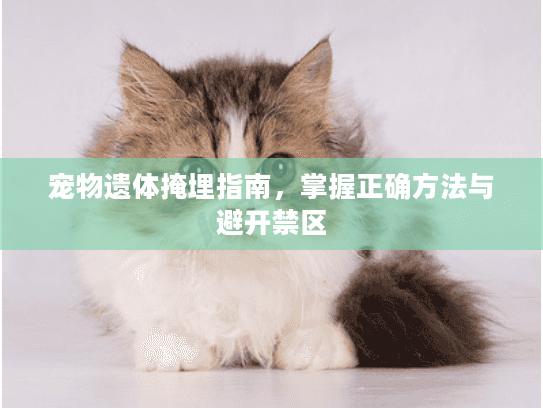 宠物遗体掩埋指南，掌握正确方法与避开禁区