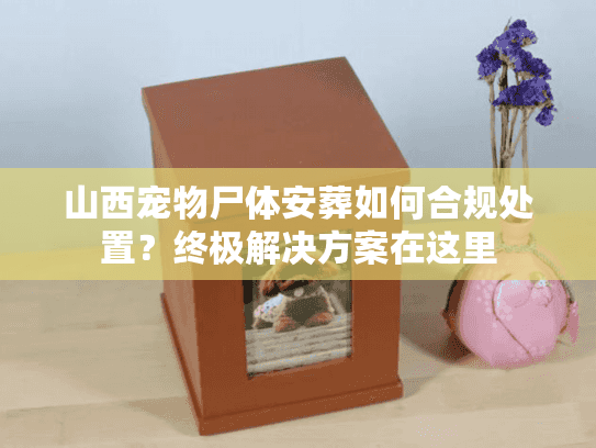 山西宠物尸体安葬如何合规处置？终极解决方案在这里