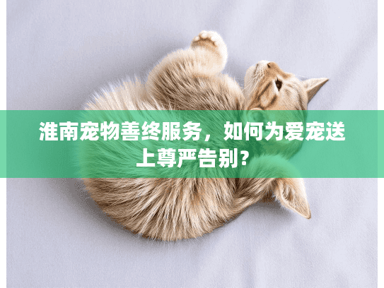 淮南宠物善终服务，如何为爱宠送上尊严告别？