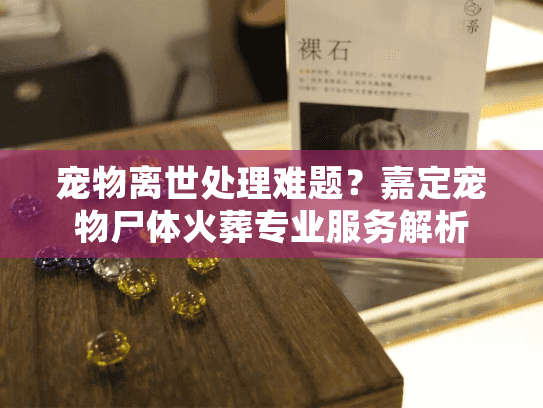 宠物离世处理难题？嘉定宠物尸体火葬专业服务解析