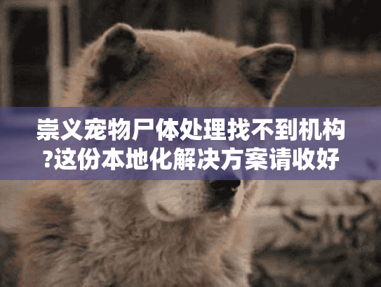 崇义宠物尸体处理找不到机构?这份本地化解决方案请收好
