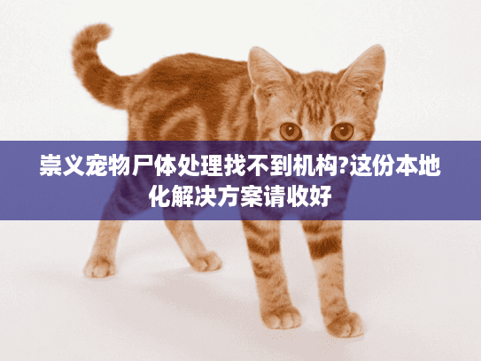 崇义宠物尸体处理找不到机构?这份本地化解决方案请收好