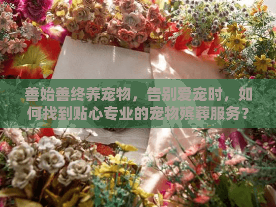 善始善终养宠物，告别爱宠时，如何找到贴心专业的宠物殡葬服务？