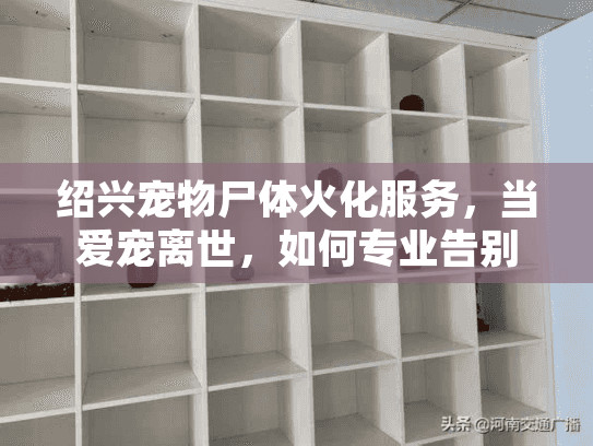 绍兴宠物尸体火化服务，当爱宠离世，如何专业告别？