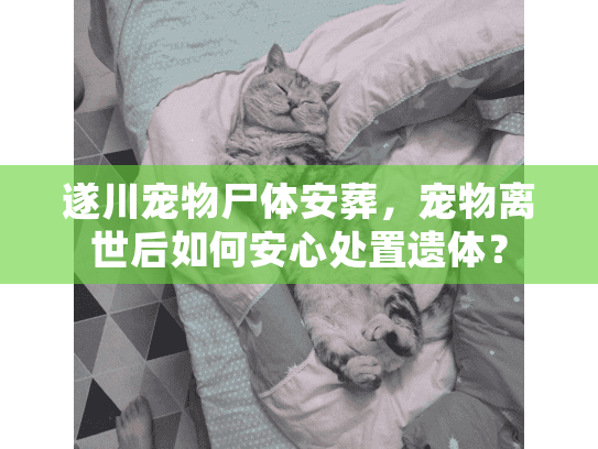 遂川宠物尸体安葬，宠物离世后如何安心处置遗体？