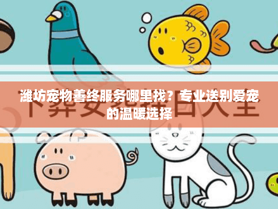 潍坊宠物善终服务哪里找？专业送别爱宠的温暖选择