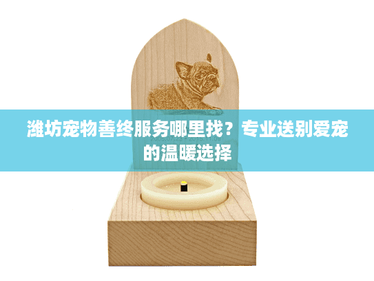潍坊宠物善终服务哪里找？专业送别爱宠的温暖选择