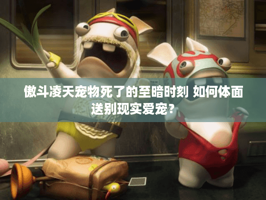 傲斗凌天宠物死了的至暗时刻 如何体面送别现实爱宠？