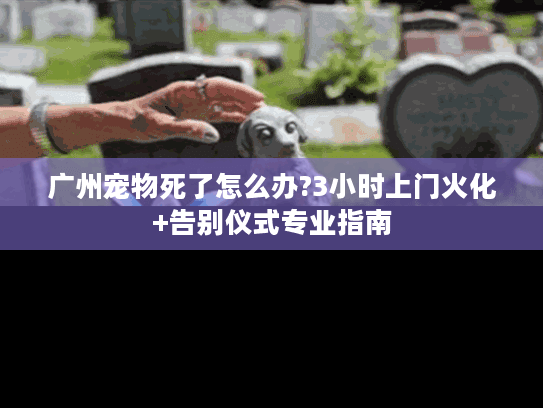 广州宠物死了怎么办?3小时上门火化+告别仪式专业指南