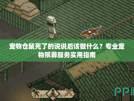 宠物仓鼠死了的说说后该做什么？专业宠物殡葬服务实用指南