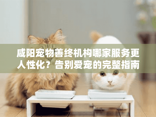 咸阳宠物善终机构哪家服务更人性化？告别爱宠的完整指南