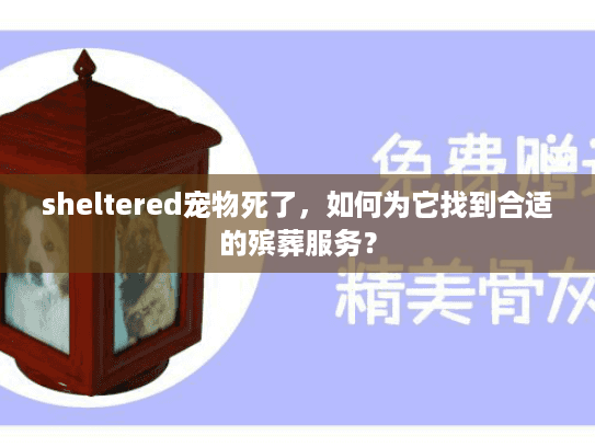 sheltered宠物死了，如何为它找到合适的殡葬服务？
