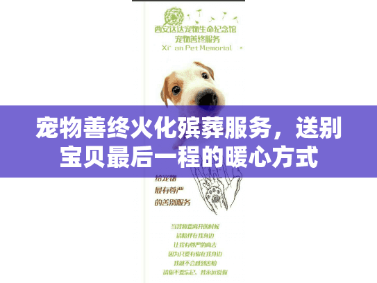 宠物善终火化殡葬服务，送别宝贝最后一程的暖心方式
