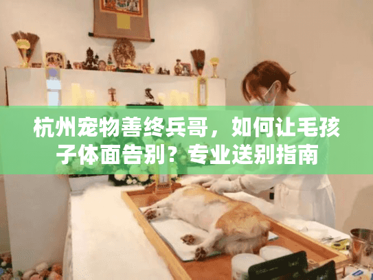 杭州宠物善终兵哥，如何让毛孩子体面告别？专业送别指南