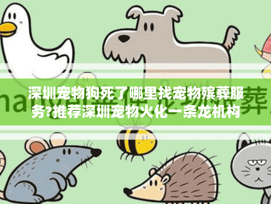 深圳宠物狗死了哪里找宠物殡葬服务?推荐深圳宠物火化一条龙机构