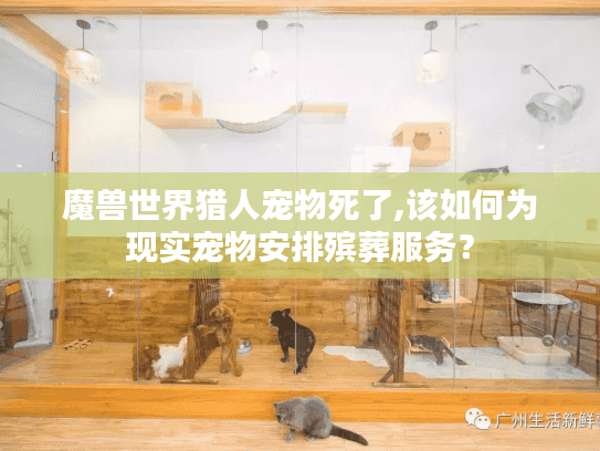 魔兽世界猎人宠物死了,该如何为现实宠物安排殡葬服务？