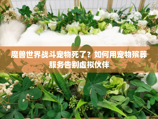 魔兽世界战斗宠物死了？如何用宠物殡葬服务告别虚拟伙伴