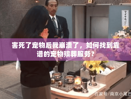 害死了宠物后我崩溃了，如何找到靠谱的宠物殡葬服务？