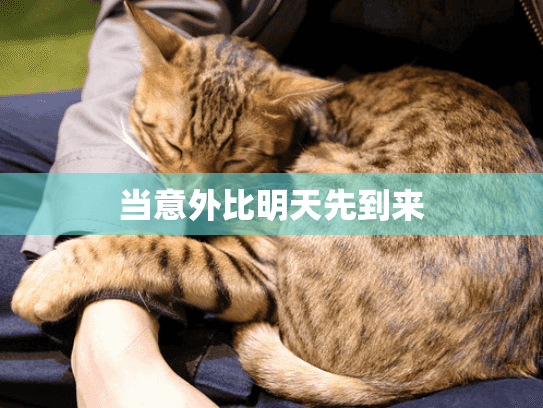 当意外比明天先到来