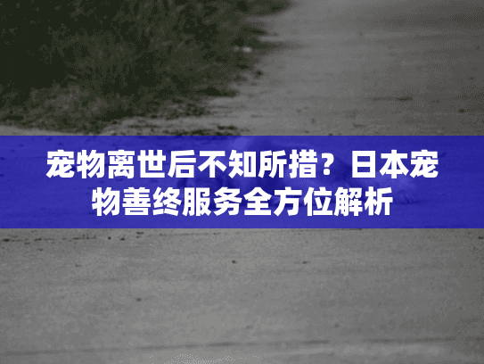 宠物离世后不知所措？日本宠物善终服务全方位解析