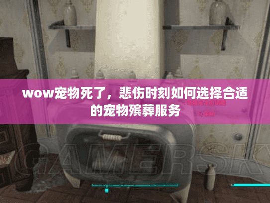 wow宠物死了，悲伤时刻如何选择合适的宠物殡葬服务