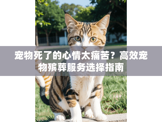 宠物死了的心情太痛苦？高效宠物殡葬服务选择指南