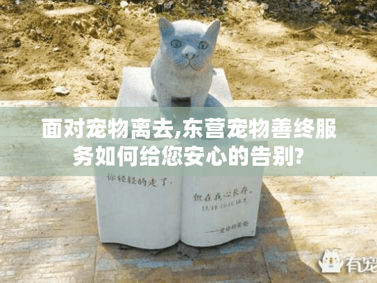 面对宠物离去,东营宠物善终服务如何给您安心的告别?