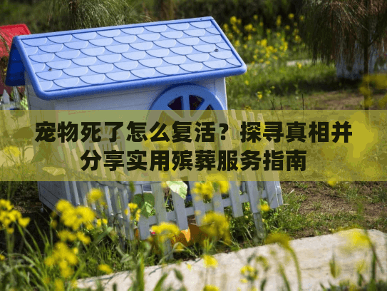 宠物死了怎么复活？探寻真相并分享实用殡葬服务指南