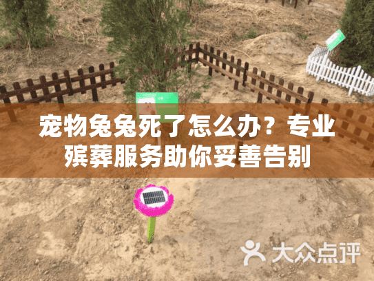 宠物兔兔死了怎么办？专业殡葬服务助你妥善告别