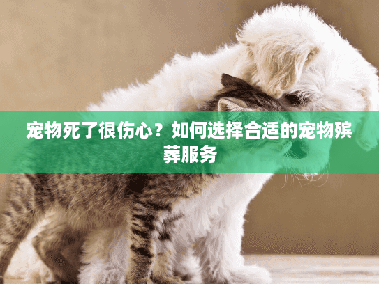 宠物死了很伤心？如何选择合适的宠物殡葬服务