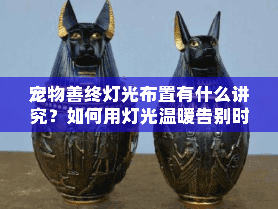 宠物善终灯光布置有什么讲究？如何用灯光温暖告别时刻？
