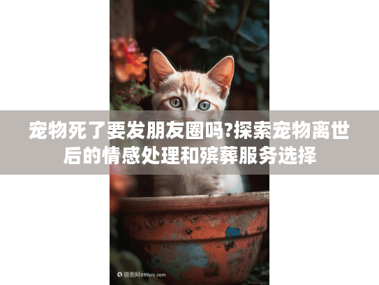 宠物死了要发朋友圈吗?探索宠物离世后的情感处理和殡葬服务选择