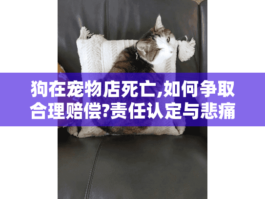 狗在宠物店死亡,如何争取合理赔偿?责任认定与悲痛处理指南