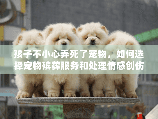孩子不小心弄死了宠物，如何选择宠物殡葬服务和处理情感创伤？