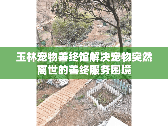 玉林宠物善终馆解决宠物突然离世的善终服务困境