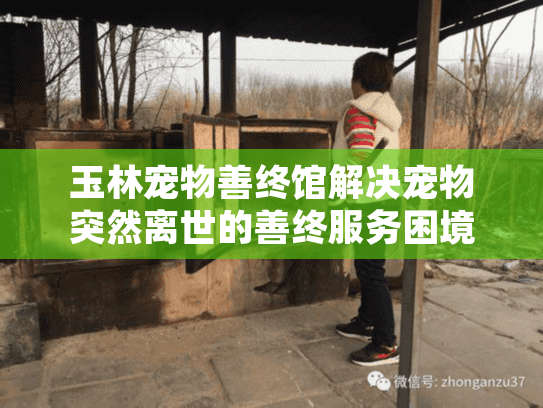 玉林宠物善终馆解决宠物突然离世的善终服务困境