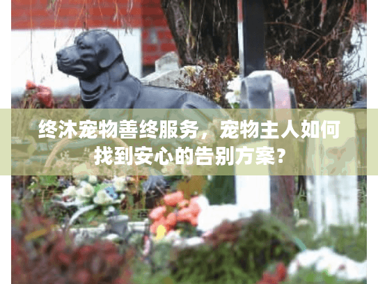 终沐宠物善终服务，宠物主人如何找到安心的告别方案？