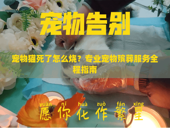 宠物猫死了怎么烧？专业宠物殡葬服务全程指南