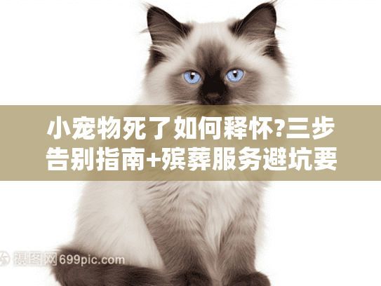 小宠物死了如何释怀?三步告别指南+殡葬服务避坑要点