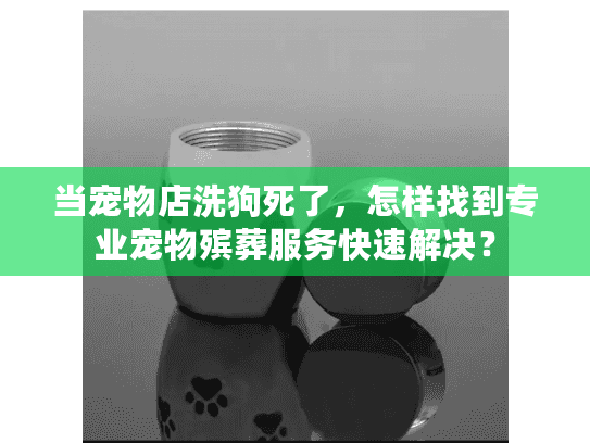 当宠物店洗狗死了，怎样找到专业宠物殡葬服务快速解决？