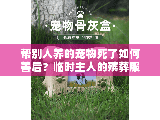 帮别人养的宠物死了如何善后？临时主人的殡葬服务指南