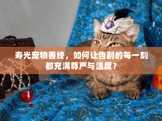 寿光宠物善终，如何让告别的每一刻都充满尊严与温度？