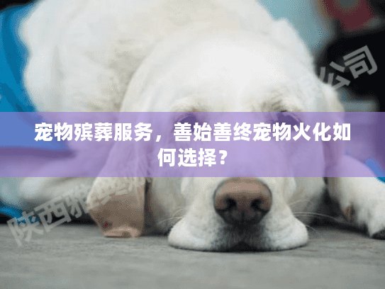 宠物殡葬服务，善始善终宠物火化如何选择？