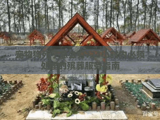宠物狗死了怎么办?24小时内必须处理的殡葬服务指南
