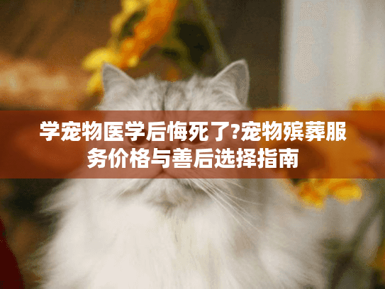 学宠物医学后悔死了?宠物殡葬服务价格与善后选择指南