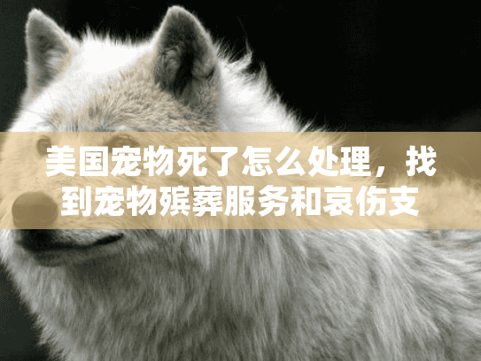 美国宠物死了怎么处理,找到宠物殡葬服务和哀伤支持选项 美国宠物死了怎么处理,找到宠物殡葬服务和哀伤支持选项